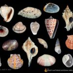 article image - 
